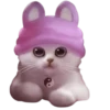 Gatitos 2 Clásica 14