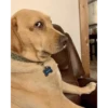 reaction pics 6