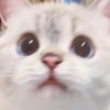Zuzu & Nana Reactions 13