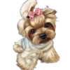 Perritos bonitos 1 Clásica 14