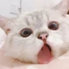 Zuzu & Nana Reactions 14