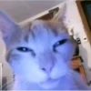 reaction pics 9