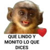 STICKERS MONITOS CLÁSICA 12