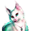 Gatitos 2 Clásica 17