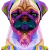 Perritos bonitos 1 Clásica 15