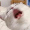 Zuzu & Nana Reactions 15