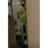 kermit the frog 16