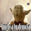 Memes Que utilizas 19