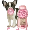 Perritos bonitos 1 Clásica 17