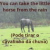 Brasilinglish 17