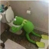 kermit the frog 18