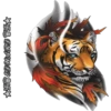 Tigre 18