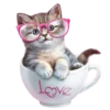 Gatitos 2 Clásica 18