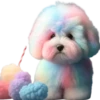 Perritos bonitos 1 Clásica 19