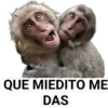 STICKERS MONITOS CLÁSICA 17