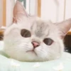 Zuzu & Nana Reactions 17