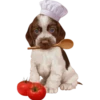 Perritos bonitos 1 Clásica 21