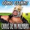 Memes Que utilizas 24