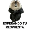 STICKERS MONITOS CLÁSICA 20