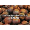 Sticker Plesetan 23