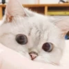 Zuzu & Nana Reactions 18