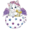 Gatitos 2 Clásica 19