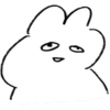 Rabbit 24