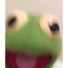 kermit the frog 22