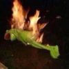 kermit the frog 23