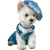 Perritos bonitos 1 Clásica 24