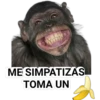 STICKERS MONITOS CLÁSICA 22