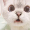 Zuzu & Nana Reactions 19