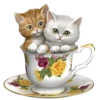 Gatitos 2 Clásica 20