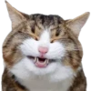 Mix Stickers 1 14