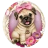 Perritos bonitos 1 Clásica 26