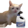 drama 28