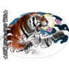 Tigre 25