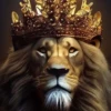 LIONS COLORS MIX 20
