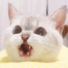 Zuzu & Nana Reactions 22