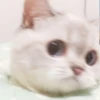 Zuzu & Nana Reactions 23