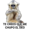 STICKERS MONITOS CLÁSICA 24