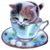 Gatitos 2 Clásica 24