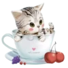 Gatitos 2 Clásica 26