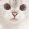 Zuzu & Nana Reactions 24