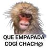 STICKERS MONITOS CLÁSICA 25