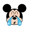 nn