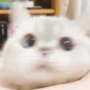 Zuzu & Nana Reactions 25