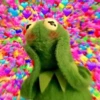 kermit the frog 28