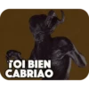 TOI BIEN
CABRIAO