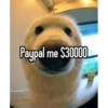 Paypal me $30000